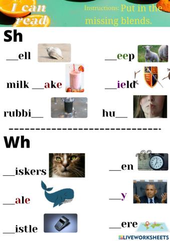 Sh and Wh Blends