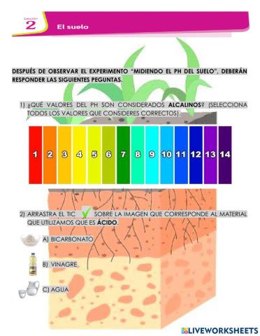 Experimento PH del suelo