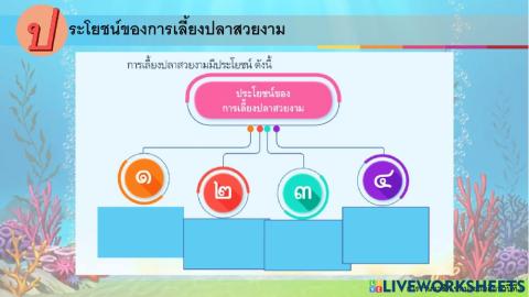 การงานอาชีพ ป.6 ครั้งที่ 5