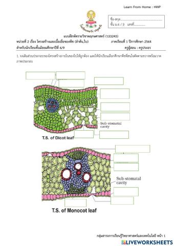 Leaf structure