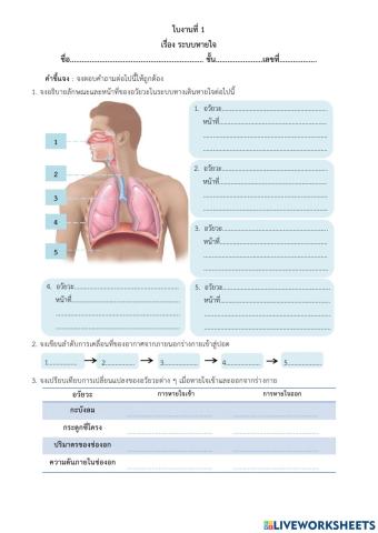 ระบบหายใจ