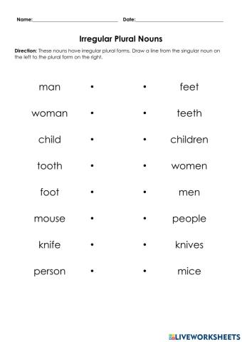 Irregular Plural Nouns