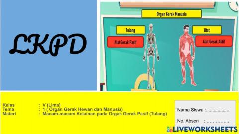 Macam-macam kelainan pada organ gerak pasif (Tulang)