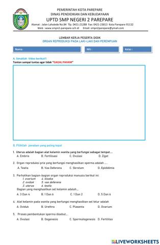 LKPD Reproduksi manusia
