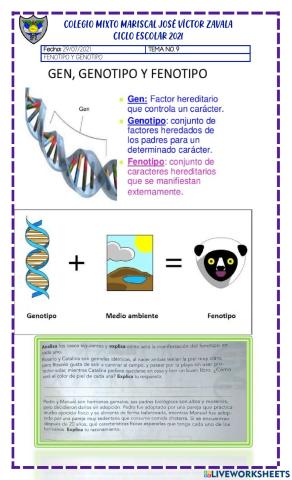 Fenotipo y genotipo