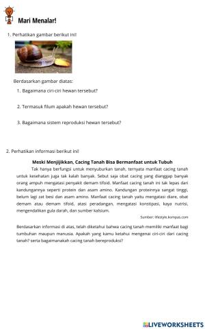 Handout animalia pertemuan kedua