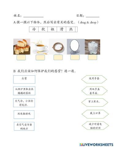 一年级科学-感觉器官（触觉）