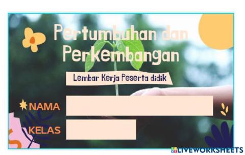 PERTUMBUHAN DAN PERKEMBANGAN