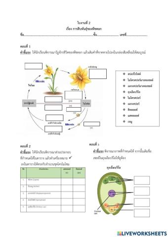 การสืบพันธุ์พืชดอก