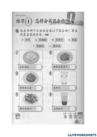 二年级科学 - 第八课