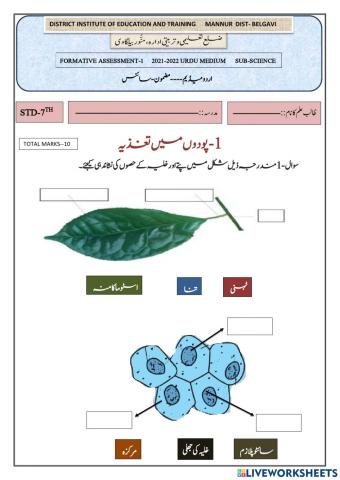 پودوں میں تغز یہ