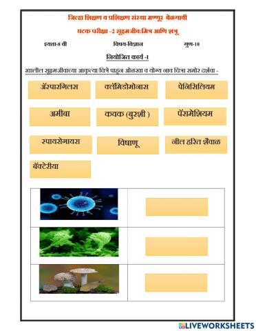 सूक्ष्मजीव:मित्र  आणि शत्रू