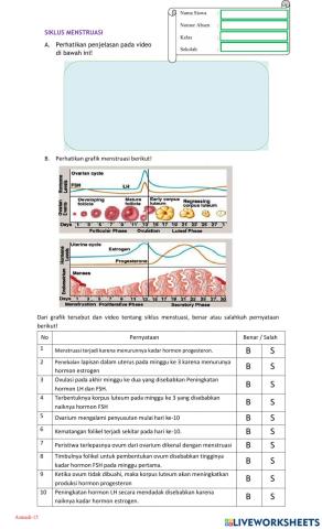 Siklus Menstruasi