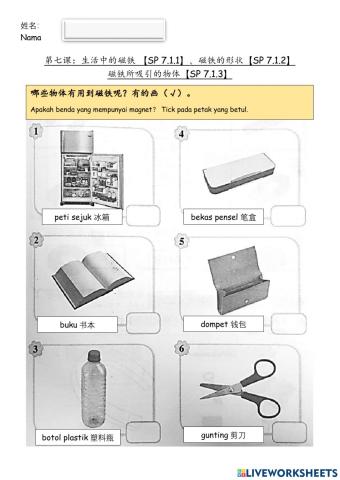 一年级科学：磁铁