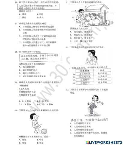 4年级科学评估