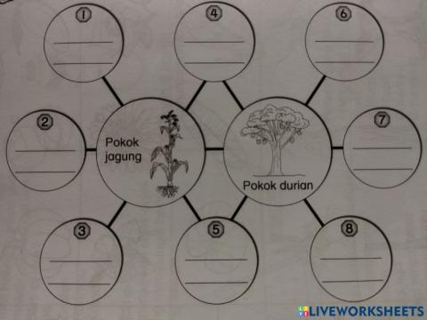 Sains: Bahagian Tumbuhan