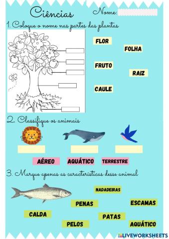 Avaliação 2º ano