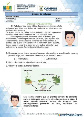 Cadeia e teia alimentar