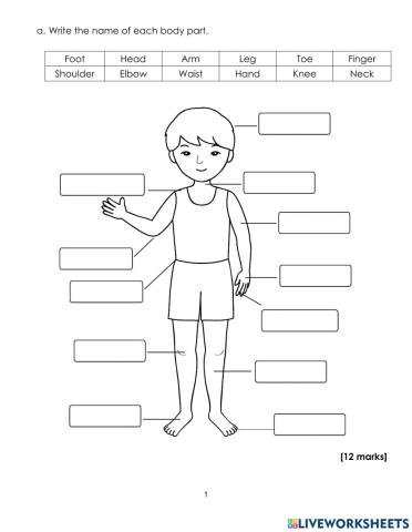 Parts of a body