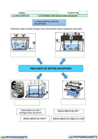 Rbt ting 2 reka bentuk akuaponik