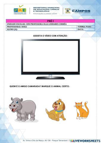 Educação Infantil - animais domésticos