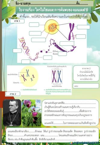 พันธุศาสตร์1