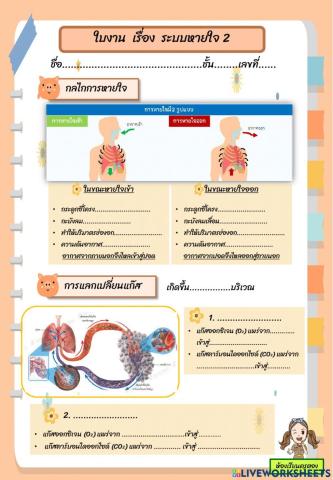 ใบงาน เรื่อง ระบบหายใจ 2