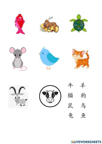 动物Animals