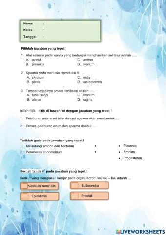 Soal sistem reproduksi