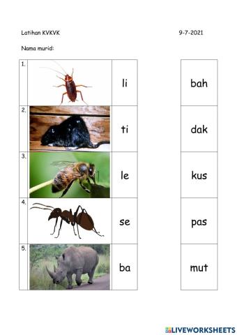 Latihan KVKVK (1)