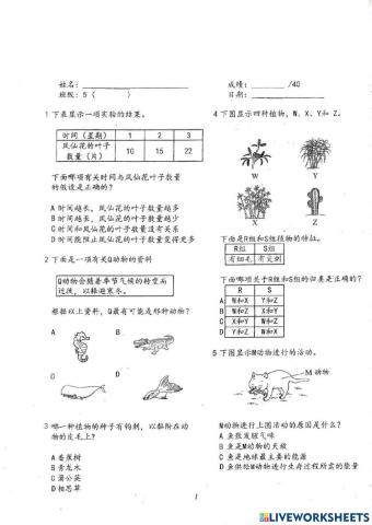 五、六年级练习