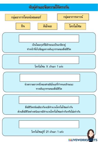 จับคู่พันธุกรรม