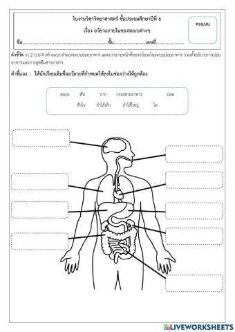 ระบบย่อยอาหาร