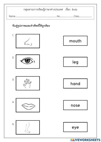 โยงเส้นจับคู่