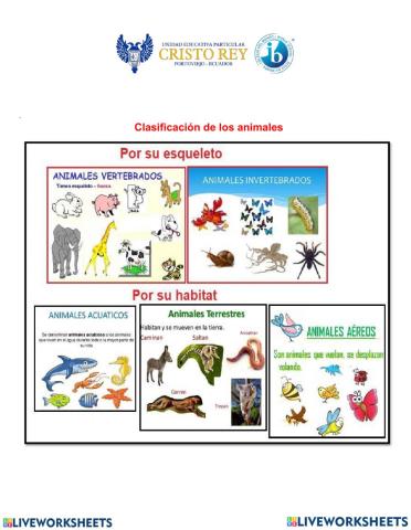 Animales