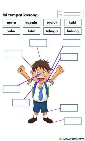 Mengenal Anggota Tubuh