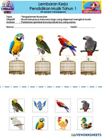 Burung kakak tua