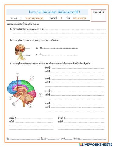 ใบงานสุขะ ม.2