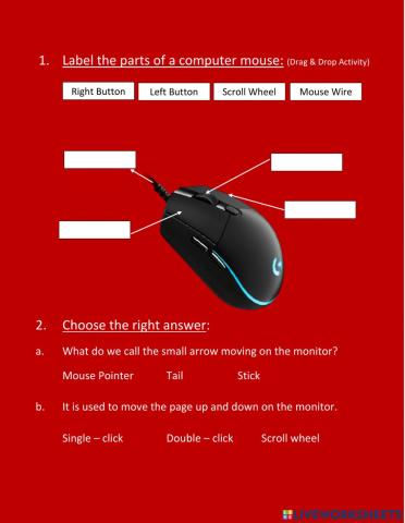 Computer Mouse