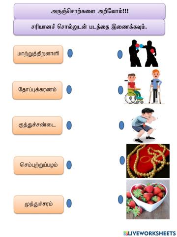 அருஞ்சொற்கள்