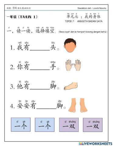 Bcsk 一年级：我的身体（语文基础知识）