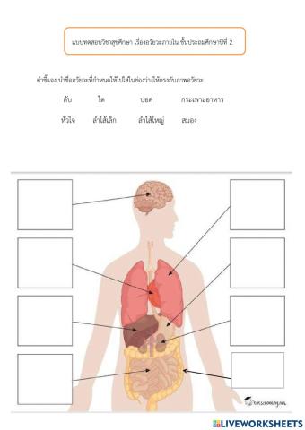 อวัยวะภายนอกและหน้าที่ ป.2