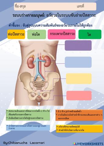 ระบบขับถ่าย