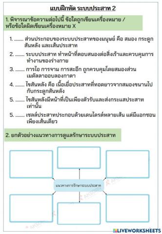 ระบบประสาท 3