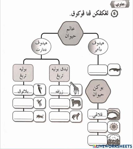 Pelajaran jawi