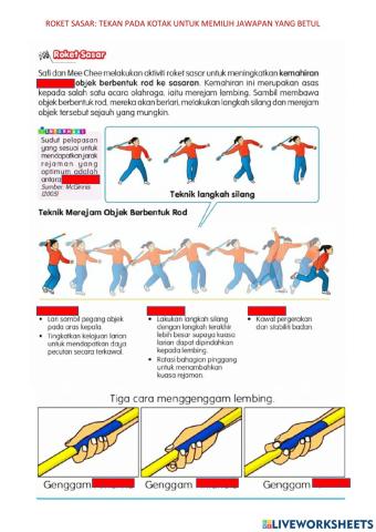 Pjpk tahun 6 roket sasar