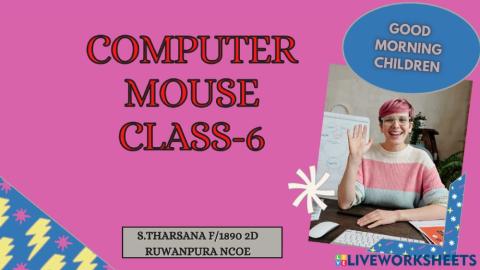 COMPUTER MOUSE GRADE 06