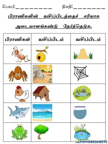 பிராணிகளின் வசிப்பிடத்தைச் சரியாக அடையாளங்கண்டு தேர்ந்தெடுக-1