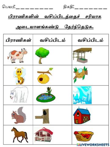 பிராணிகளின் வசிப்பிடத்தைச் சரியாக அடையாளங்கண்டு தேர்ந்தெடுக-2