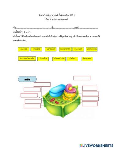 ส่วนประกอบของเซลล์